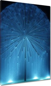 Vászonkép 70x100 Pitypang Virág Virágok