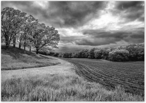 Poszterek 100x70 Fekete-fehér doboz