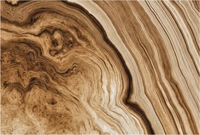 Fotótapéta Fali ragasztó szett Fa tégelyek 104x70 Ragasztó