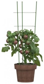 5 db zöld acél kerti növénytámasz 3 gyűrűvel 60 cm
