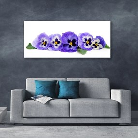 Vászonfotó Virágszirmok Pansies 125x50 cm