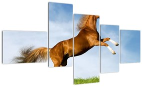 Kép - lovak, a hátsó (150x85cm)