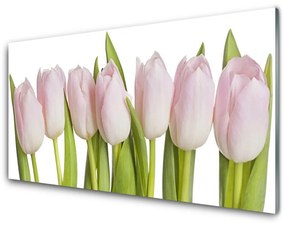 Üvegkép falra Tulipán virágok Plant 125x50 cm
