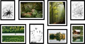 Komplett Galéria 8db-os keretes kép Erdő KPM223