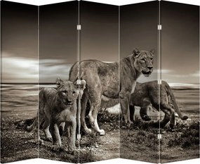 Paraván - Fekete fehér tigris (210x170 cm)