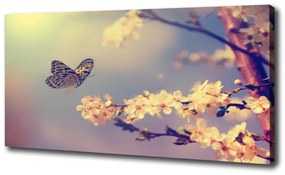 Egyedi vászonkép Cseresznyevirág és a pillangó oc-72331211