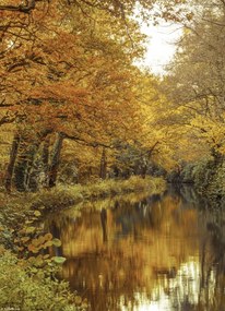 Poszter 20,5x28,4cm Csatorna az erdőn át 2, Assaf Frank