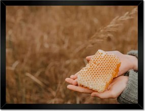 Poszterek keretben 40x30 Méz Méhészet