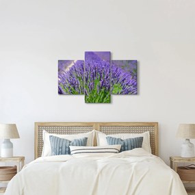 Kép - levandula (90x60 cm)