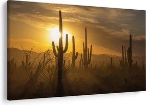 Kép - Saguaro kaktuszok (90x60 cm)