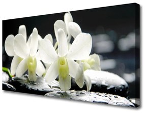 Vászonfotó Stones orchidea virágok 100x50 cm