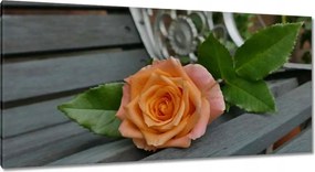Vászonkép 115x55 Rózsa Virág Virágok Rózsa