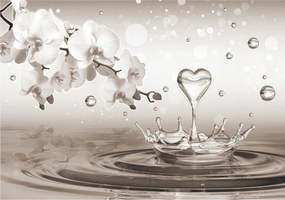 Fotótapéta Orchidea egy csepp vízben Elegancia és nyugalom 368x254 +ragasztó