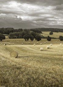 Poszter 20,5x28,4cm Szénakazalok a mezőkön 3, Assaf Frank