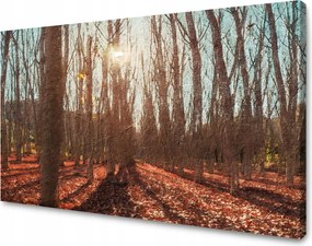 Vászonkép Erdő Ősz Levelek Színes Természet 90x60 cm