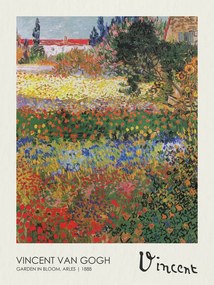 Reprodukció Garden in Bloom, Arles (1888), Vincent van Gogh