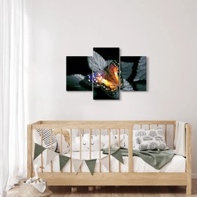 Pillangó képe (90x60 cm)