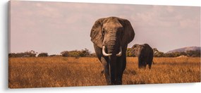 Kép - Az elefánt érkezése (120x50 cm)