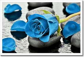 Poszterek keretben 60x40 Kék rózsa kövek