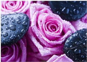 Fotótapéta rózsa virágok fotótapéta 368 x 254