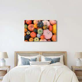 Kép - Tök (90x60 cm)