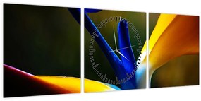 Kép - Egzotikus virág (órával) (90x30 cm)