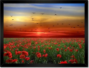 Poszterek keretben 40x30 Tájkép Látvány