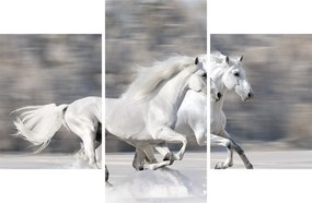 Kép - Fehér lovak télen (90x60 cm)