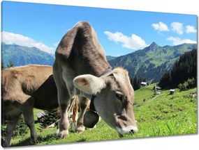 Festmények 120x80 Alpesi tehenek