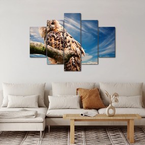 Bagoly képe (150x105 cm)