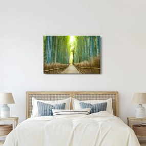 Kép - Bambusz erdő (90x60 cm)