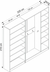 Kale - 8121
