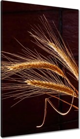 Vászonkép 80x120 Pe teljes kalászok