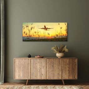Repülő repülőgép képe (120x50 cm)