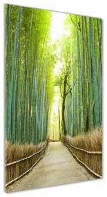 Üvegfotó Bambusz erdő osv-72519653