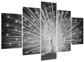 Kép - Fehér páva (150x105 cm)