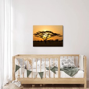 Kép - afrikai szavanna (70x50 cm)