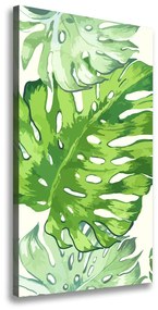 Fali vászonkép Trópusi levelek ocv-89951925