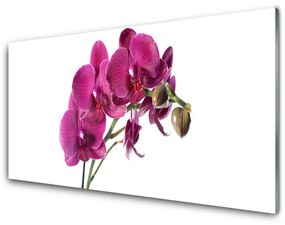 Üvegkép Orchidea virágok Természet 125x50 cm