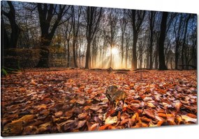 Festmények 120x80 A kihalás veszélye fenyeget