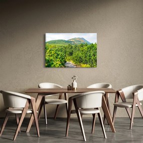 Kép - Babi Hora, Lengyelország (90x60 cm)