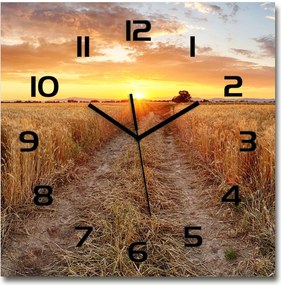 Nagy üveg falióra nappaliba Búzamező 60x60cm