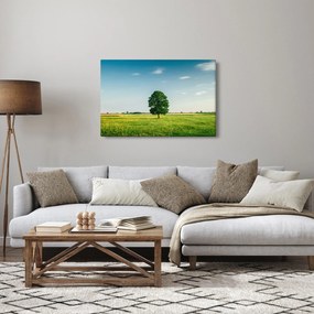 Egy fa képe egy rét közepén (90x60 cm)