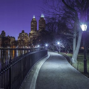 Poszter 40x40cm Central Park, Assaf Frank