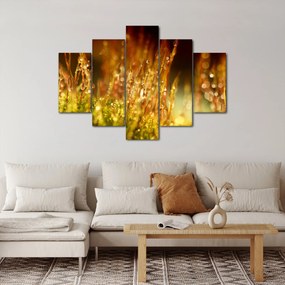 Kép - Harmat részlete (150x105 cm)