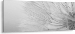 Kép - Pitypang (120x50 cm)