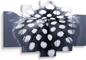 Kép - Toll (150x105 cm)