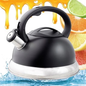 Hagyományos Vízforraló Koko Olaf Rozsdamentes Acél Síppal Indukciós Gáz 3.0L