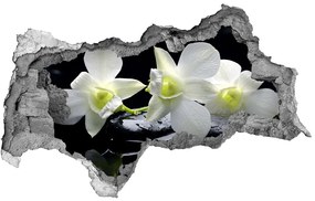 3d lyuk fal dekoráció Orchidea nd-b-28908662