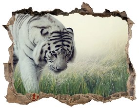 3d-s lyuk vizuális effektusok matrica Fehér tigris nd-k-84071201